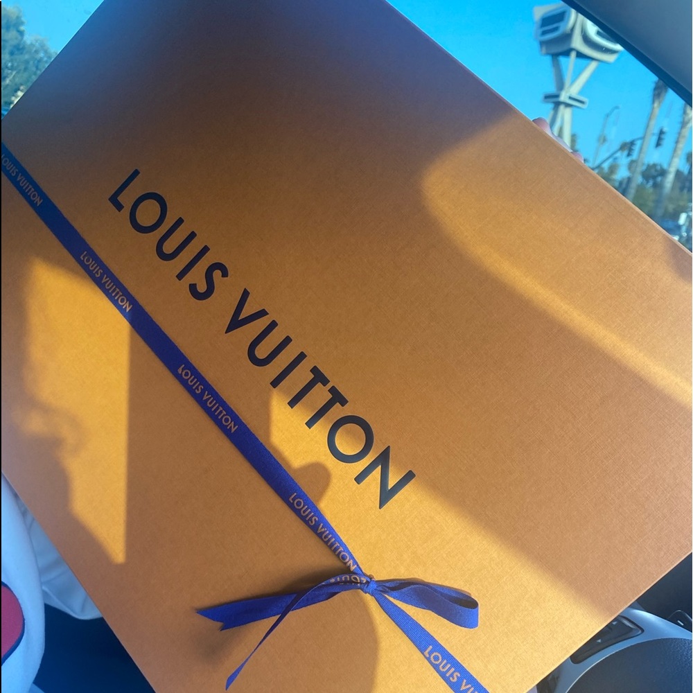 Louis Vuitton MM clutch